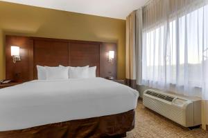 a large bed in a hotel room with a large window at Comfort Suites Little Rock in Little Rock