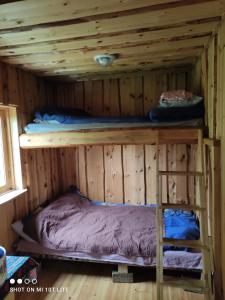 Beautiful private cabin near Tartu في Külitse: غرفة بسريرين بطابقين في كابينة