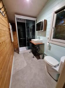 uma pequena casa de banho com WC e lavatório em Chalet Olivier em Fléré-la-Rivière