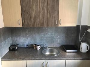 Η κουζίνα ή μικρή κουζίνα στο River Apartment