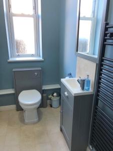 een badkamer met een toilet, een wastafel en 2 ramen bij Hilltop in Llandeilo