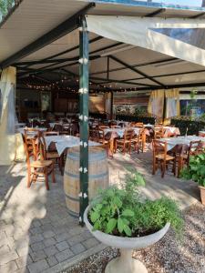 Ristorante o altro punto ristoro di Chalet 4 or 6 persons Toscana Viareggio Camping Bosco Verde Italië