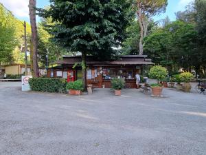 Giardino di Chalet 4 or 6 persons Toscana Viareggio Camping Bosco Verde Italië