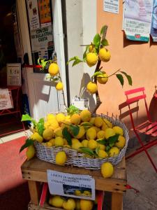 Cibo presso il campeggio o nelle vicinanze