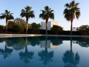 Der Swimmingpool an oder in der Nähe von Sa Rapita Es-Trenc Ferienhäuser