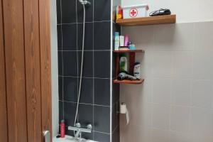 ein Bad mit einer Dusche mit schwarzen Fliesen und einem Waschbecken in der Unterkunft Casa Kenya: Dúplex con azotea y magníficas vistas. in Rodalquilar + 21 Fotos