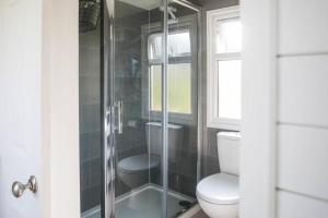 a bathroom with a toilet and a glass shower at Brondini View Cabin (Private Garden and Hot Tub) in Brondini +10 photos