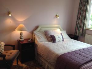 um quarto com uma cama, um candeeiro e uma cadeira em Claremont B&B em Galway