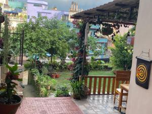 Um jardim em Birds Nest Hostel