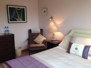 a bedroom with a bed and a chair and a lamp at Claremont B&B in Galway