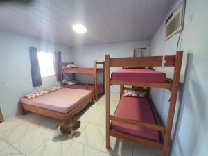 Cette chambre comprend 4 lits superposés et un chat. dans l'établissement Recanto da Lua, à Corumbau 106 autres photos