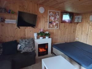 Televízia a/alebo spoločenská miestnosť v ubytovaní Onix- Kis-tó Apartman ORFŰ