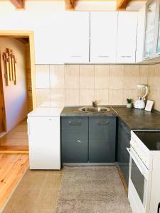 Cuina o zona de cuina de Apartmani D&S