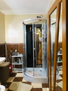 um chuveiro com uma porta de vidro na casa de banho em 3-Room Delta Modern Residence em Tulcea