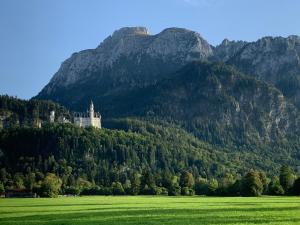 een kasteel bovenop een heuvel met een veld bij Erholsamer Traumurlaub wo auf Bergen Schlößer wachsen in Prem