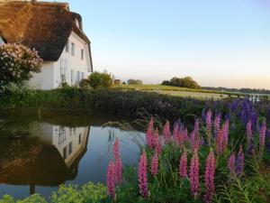 a house and flowers next to a body of water at Landhotel Kastanienallee Putbus in Putbus