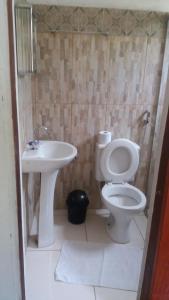 y baño con aseo y lavamanos. en Hospedaria Estrada Real, en Tiradentes