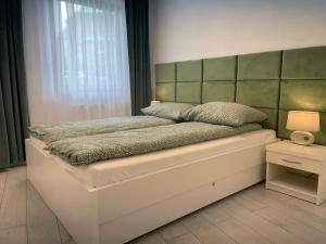 a bedroom with a bed with a green headboard at Apartament Biała Róża in Szklarska Poręba