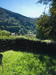 Naturlandschaft in der Nähe der Ferienwohnung