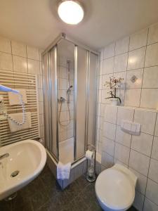 a bathroom with a shower and a toilet and a sink at Landhotel in Mühltroff +14 photos
