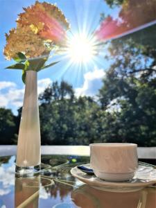 Gallery image of Landhotel in Mühltroff