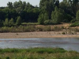 a body of water with trees in the background at Gîtes de Loire in Mosnes