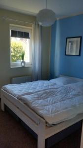 a bed in a bedroom with a blue wall and a window at Landruhe in Strukkamp auf Fehmarn