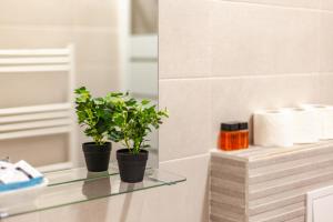ヤシにあるSunny Studio Apartmentのバスルームのガラス棚に座る植物2本