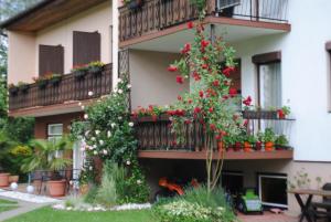 Giardino di Ferienhaus Michor