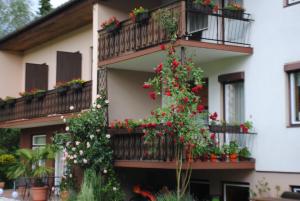 Balcone o terrazza di Ferienhaus Michor