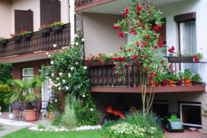 Giardino di Ferienhaus Michor