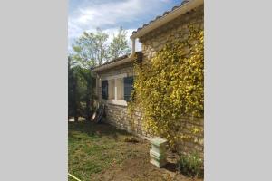 a brick house with a window and a bush at Appartement 2 pers avec accès piscine in Saint-Rémy-de-Provence
