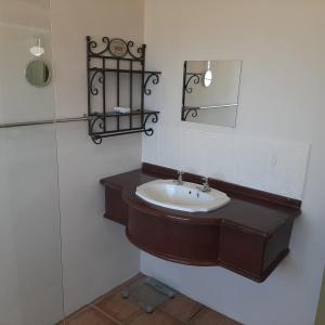 un bagno con lavandino e specchio di Neels Cottage a Clanwilliam Altre 48 foto