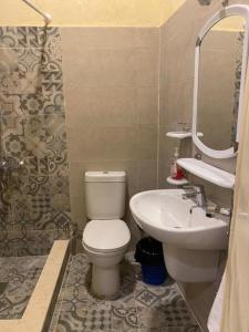 a bathroom with a toilet and a sink at Tache Boutique Hotel Fayoum in Fayoum Center