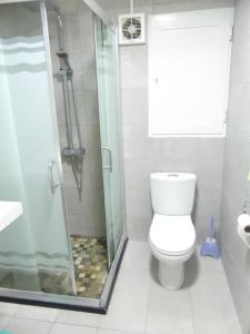 格蘭貝伊的住宿－Aquamarine - Grand Baie - 4 chambres - Piscine，一间带卫生间和淋浴的浴室