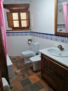 bagno con servizi igienici e lavandino di Casa rural Callejón del Palacio a Muñoveros