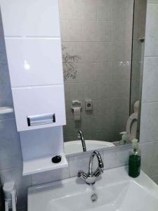 Kúpeľňa v ubytovaní Apartment Balatonfenyves/Balaton 18400