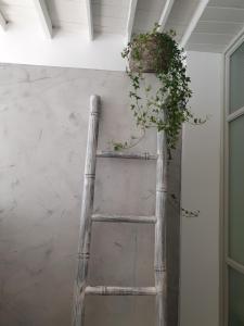 a wooden ladder with a plant on the wall at Aretousa Deluxe Downtown Apartment in Skala