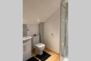 a bathroom with a toilet and a shower at Phil's Cottage Sleeps 2 one dog by prior permission in Barnard Castle +16 photos
