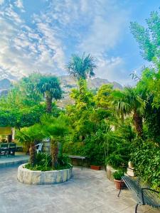 un parque con palmeras, un banco y montañas en Casa Puccio B&B, en Caltabellotta