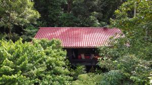 een huis met een rood dak omgeven door bomen bij Yatama Rainforest Ecolodge in Sarapiquí