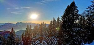 a sun setting over a snow covered forest with trees at Haus Wiesenblick in Oberwössen