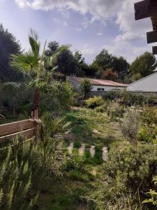 un jardín con una palmera y una valla en Chambre privée au coeur d'une pinède dans un quartier résidentiel, en Lézignan-Corbières