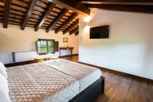- une grande chambre avec un lit et une télévision dans l'établissement Al Pompiere - Wine and rooms, à Capriva del Friuli