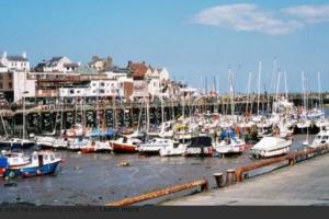 un groupe de bateaux est amarré dans un port dans l'établissement Cozy Dog Friendly cottage near Bridlington, à Bridlington