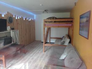 Studio sur les pistes في بانيير-دوبيغور: غرفة معيشة مع سرير بطابقين وأريكة