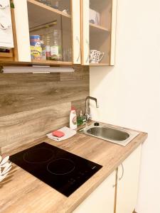 cocina con fregadero y encimera en Private apartment - Park Olomouc - super lokalita en Olomouc