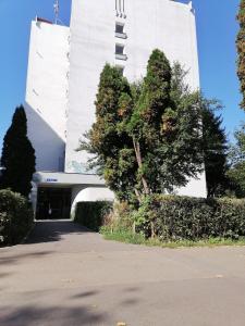 um edifício com uma árvore em frente a um edifício em Zizi's House Gării 2 em Brasov