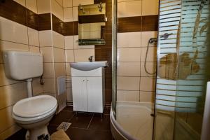 A bathroom at Pensiunea Denisa