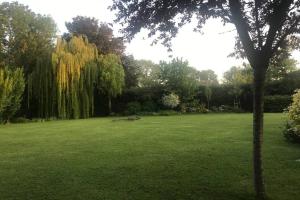 ein großes, grünes Feld mit einem Baum in einem Park in der Unterkunft Studio meublé près des plages du débarquement in Émiéville